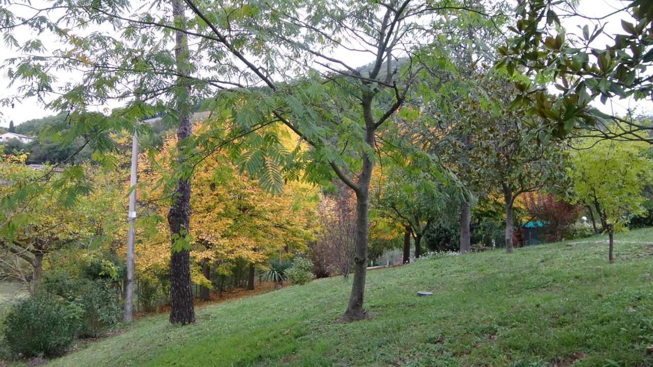 B&B La Poiana Canavaccio di Urbino Екстер'єр фото