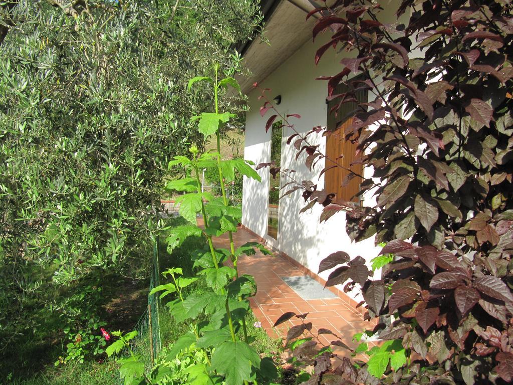 B&B La Poiana Canavaccio di Urbino Екстер'єр фото